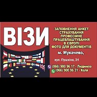 Людмила Візи