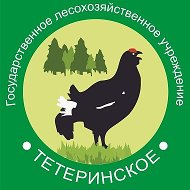 🌲глху Тетеринское🌲