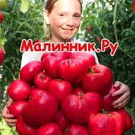 Малинник Ру