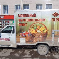 Копченое Мясо