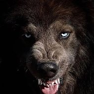 Черная Волк