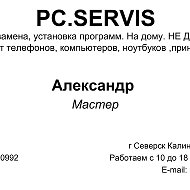 Ps Servis