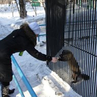 Татьяна Волонтер