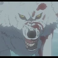 Pro100wolf Kiba