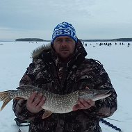 Сергей Домников