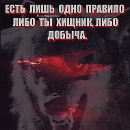 Bosss 🐺🐺🐺🐺🐺волк