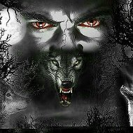 Одиноки Волк