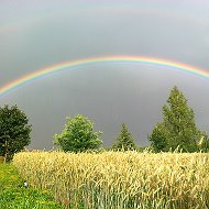 Андрэй Невяркевiч