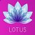 Химчистка LOTUS