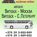 Витебск - Москва ┃Витебск - Питер автобус