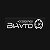 BiAvto accessories