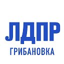 Грибановское МО ЛДПР