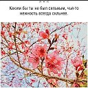 Виктория 🌺