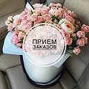 Дарья Садовод