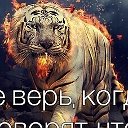 🐅Uz U