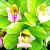 Орхидеи Доставка Цветов г Кяхта