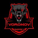 Andrey Voronov