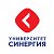 Университет Синергия