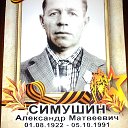 Александр Симушин