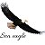 Sea Eagle