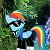 - Rainbow Dash☑-™