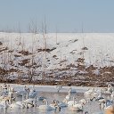 Дмитрий Прокопец Ольга Харинович