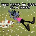 Тимур Кадыров