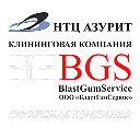 ООО БГС Сервисная компания