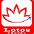 LOTOS TRAVEL