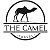 Camel Official Camel Official