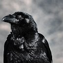 Чёрный Ворон