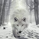 WHITE WOLF
