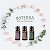 doTERRA Эфирные масла