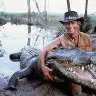Аллигатор Крокодил
