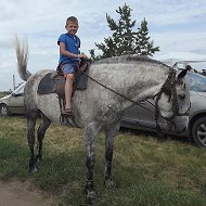 Виталий Новоселов