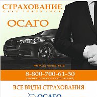 Страхование Осаго