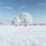 Гульден Исенова