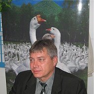 Александр Менщиков