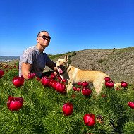 Антон Васильев