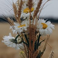 Анастасия Мельникова