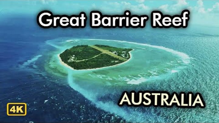 Great Barrier Reef Adventure Lady Elliot Island (Australia)