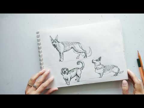 Дорогие друзья!
Представляем вашему вниманию серию мастер-классов по рисованию набросков. Рисование собак.
Урок 1. 