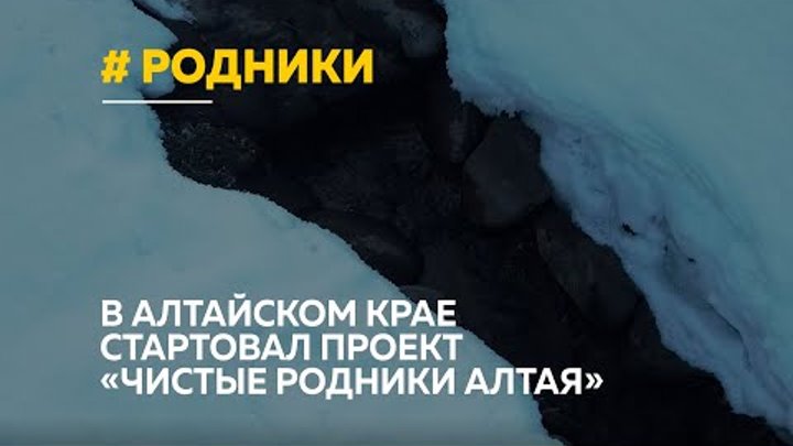 Алтайские географы хотят сосчитать все родники края