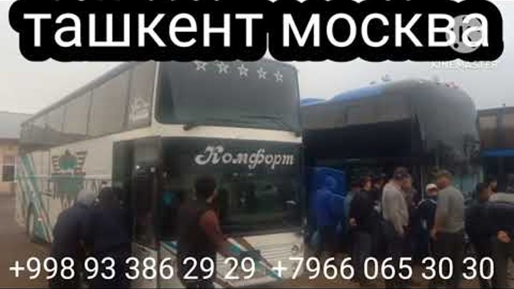 #ташкент #москва #афтобус