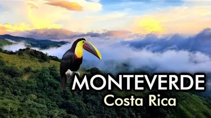 Monteverde Cloud Forest Costa Rica