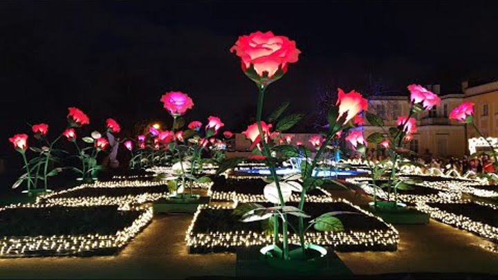 Сад роз🌹🌹🌹 Волшебное место