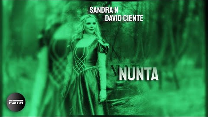 Sandra N feat. David Ciente - Nunta  (Speed-up Version) | NIGHTCORE  ...
