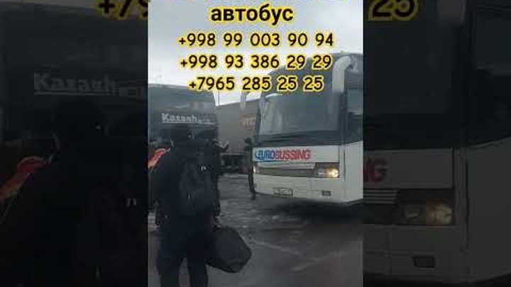 Ташкент Москва автобус 11-март