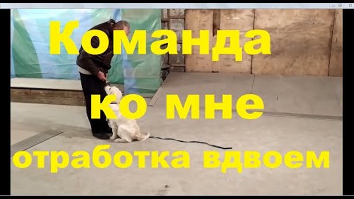 Команда ко мне отработка вдвоем