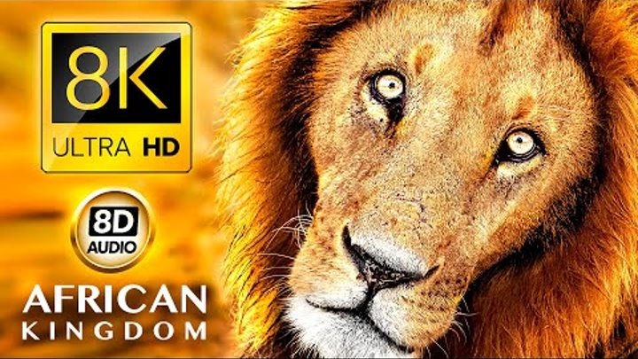 AFRICAN KINGDOM 8K ULTRA HD • 8D AUDIO •